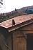 roofcat2.jpg